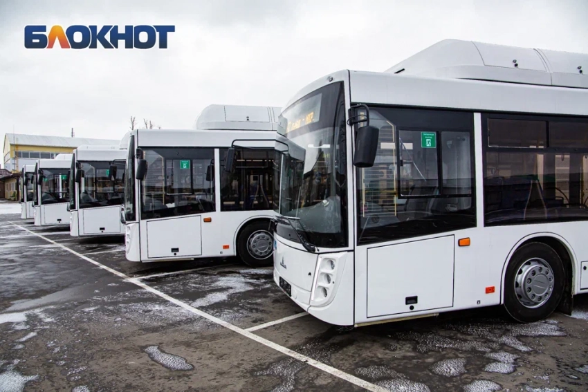 На Дону обновят 1,5 тысячи автобусов до 2030 года