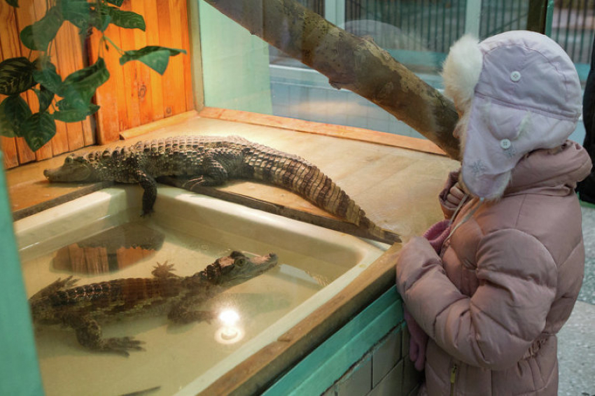  Дети Донбасса побывали в ростовском зоопарке 