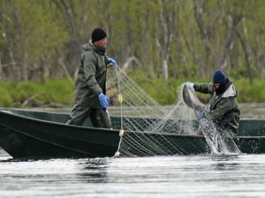 Похитители рыб из Красной книги избежали реального наказания в Ростовской области