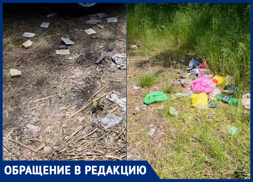 Отдыхающие оставили после себя горы мусора на Зеленом острове