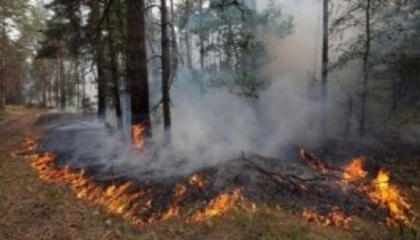 Высокая пожарная опасность ожидается в донской столице с 11 по 13 августа 