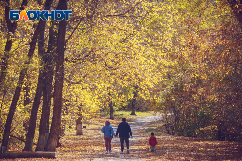В воскресенье ростовчан порадуют теплая погода и ясное небо