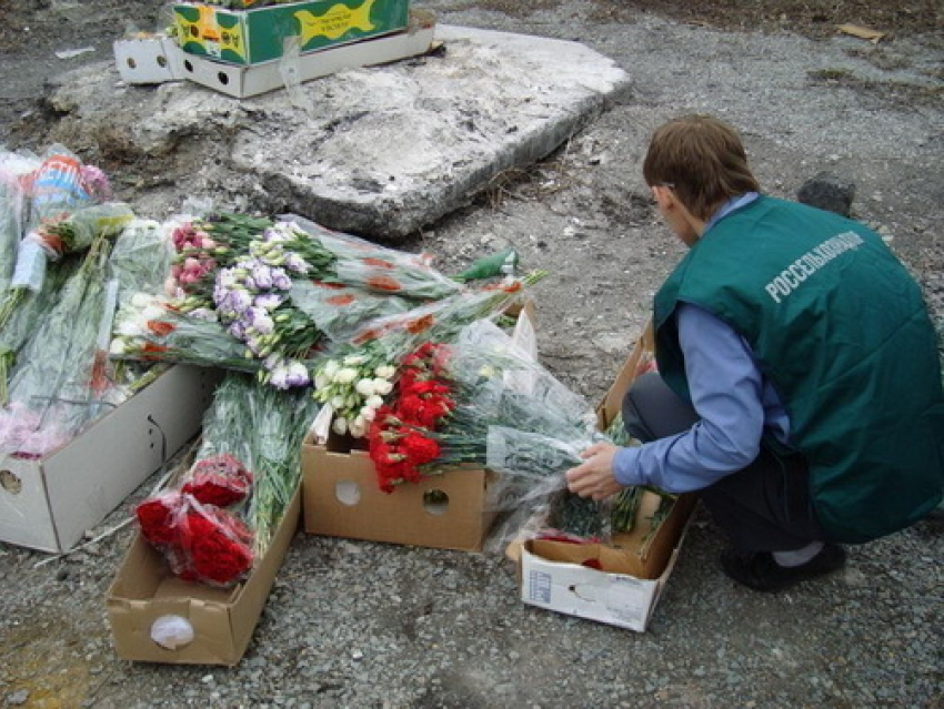 На Дону уничтожили 75 ящиков зараженных  цветов 