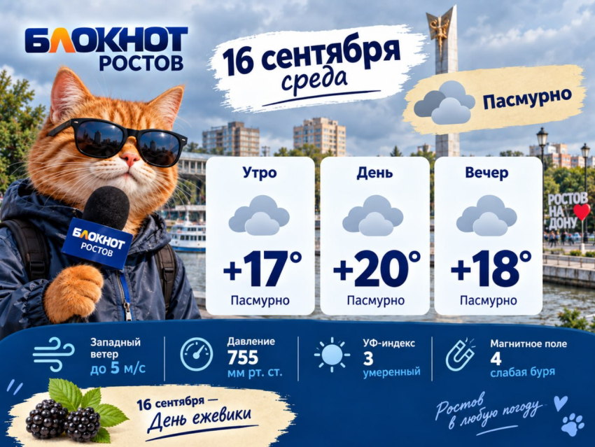 Небольшое похолодание прогнозируют в Ростове 16 сентября