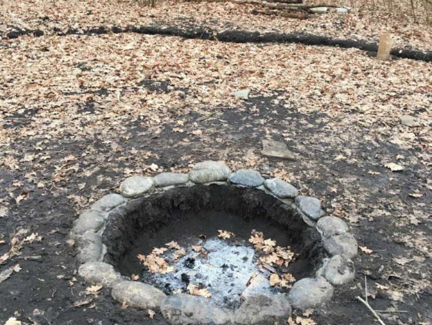 Колдовскую поляну с кругами и загадочными символами в роще Ростова удивленные жители сняли на фото
