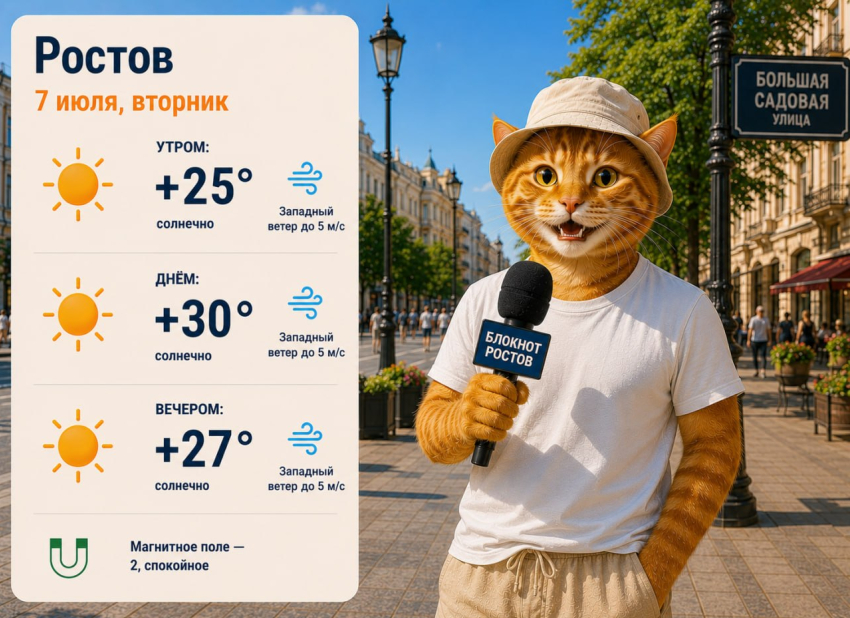 Погода в Ростове-на-Дону 7 июля: солнце весь день и жара до +30