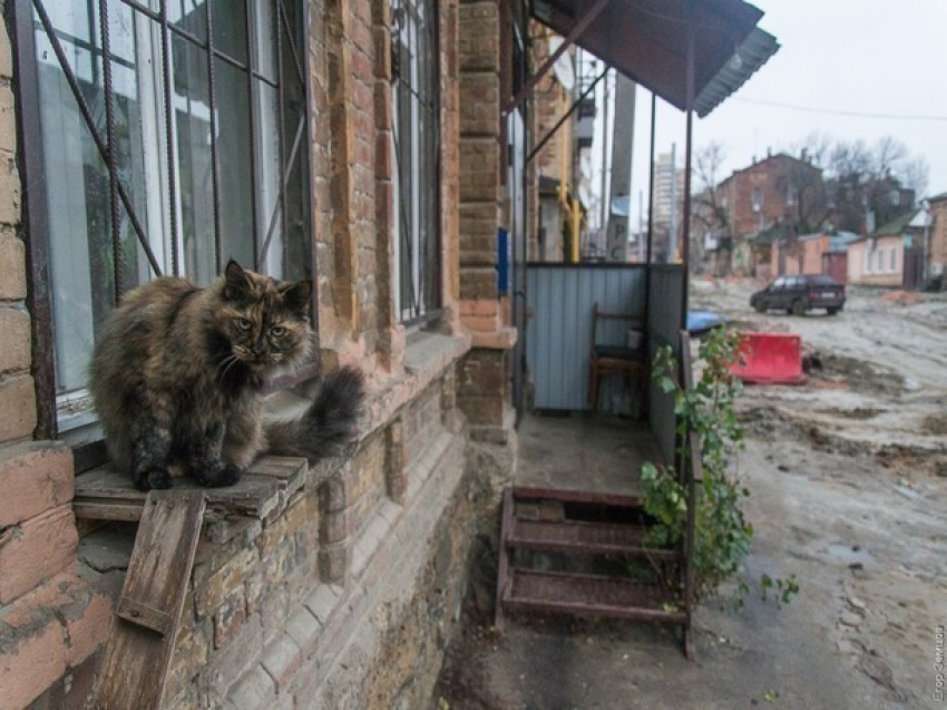 Ростовчане утопают в грязи и «ломают ноги» в самом центре столицы