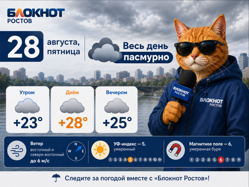 Погода в Ростове-на-Дону 28 августа: пасмурно и без осадков