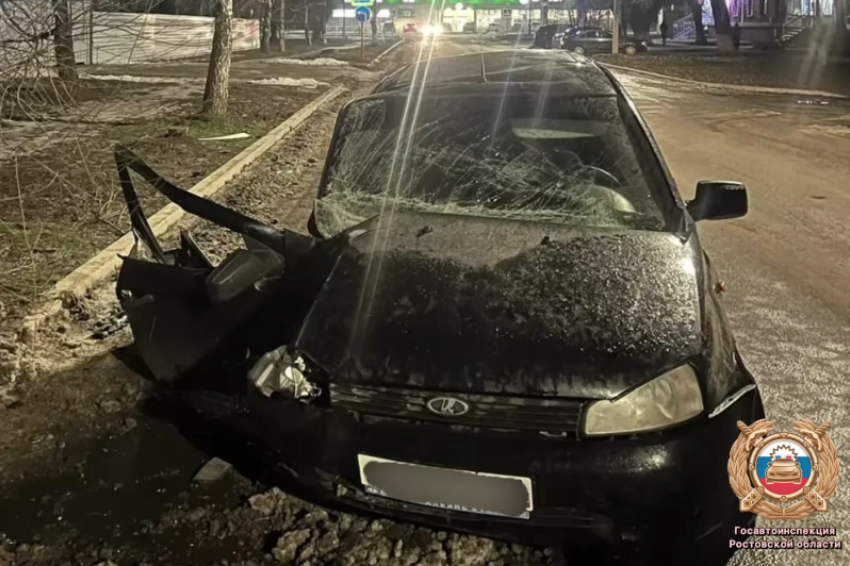Школьники на родительской машине врезались в дерево в Ростовской области