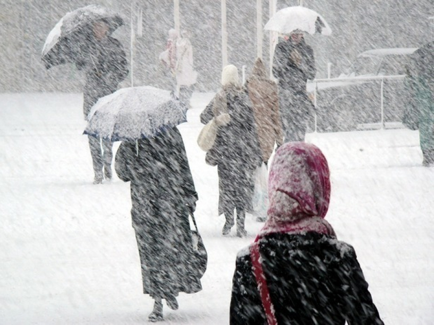 Мокрый снег, туман и сильный ветер обрушатся на Ростов в ближайшие сутки 