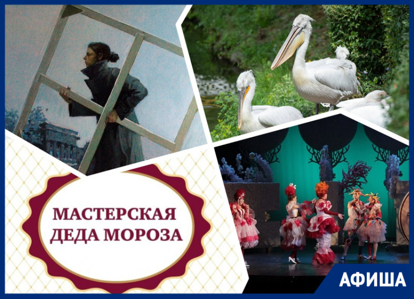 Дарим корону Золушке, кормим пеликанов и открываем Мастерскую Деда Мороза: куда пойти в Ростове на этой неделе