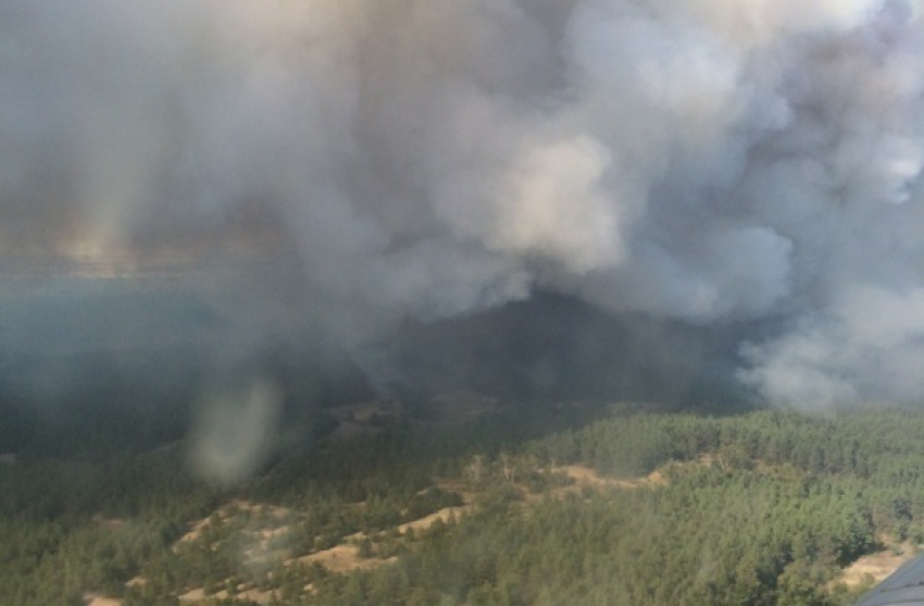 В Тарасовском районе из-за лесных пожаров введен режим ЧС