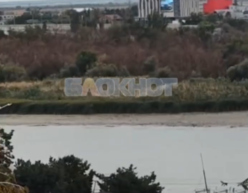 Дон обмелел: в Ростовской области уровень воды опустится ниже неблагоприятных отметок