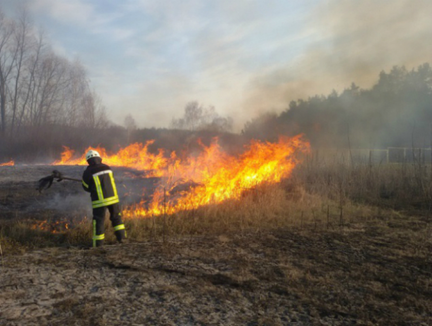 О чрезвычайной пожароопасности предупредили спасатели жителей Ростовской области