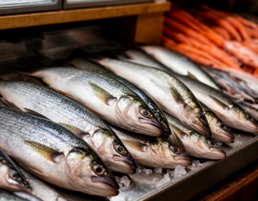 Свыше 11 т мороженой рыбы экспортировали из Ростовской области 