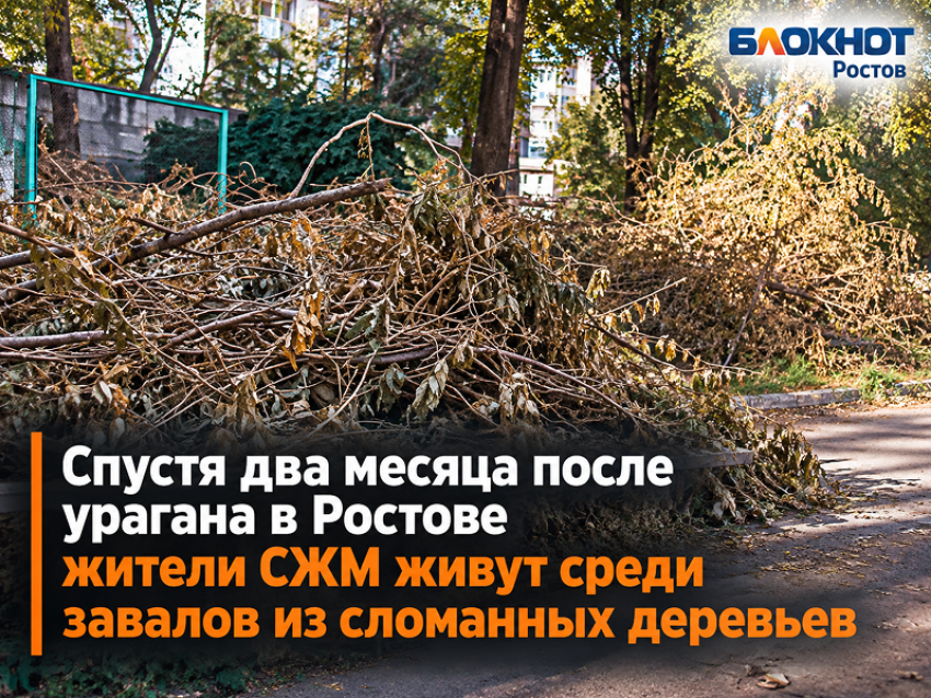 Спустя два месяца после урагана в Ростове жители СЖМ живут среди завалов из сломанных деревьев