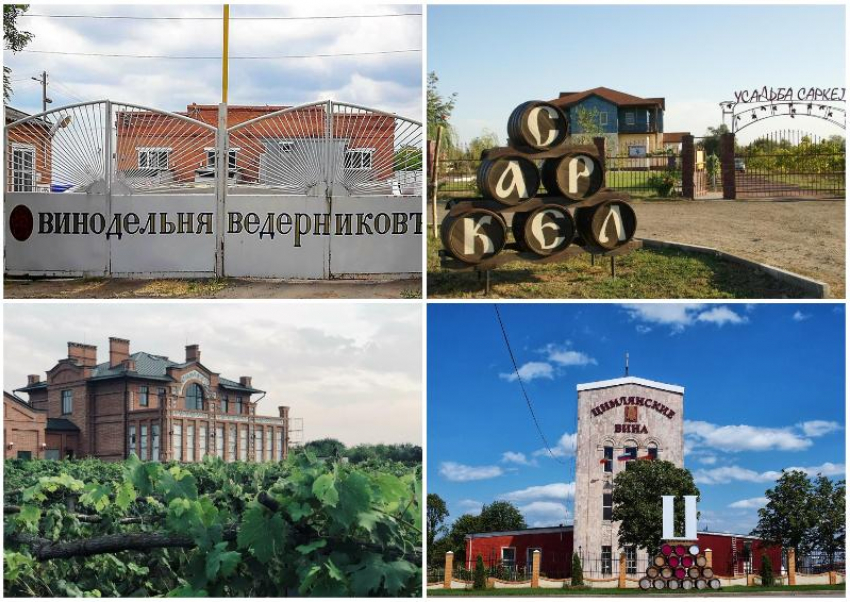 Семь марок вина из Ростовской области вошли в ТОП-100 лучших вин России