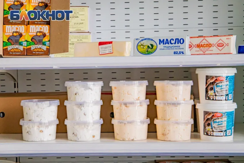 На Дону молочные продукты подорожали на 38% за год