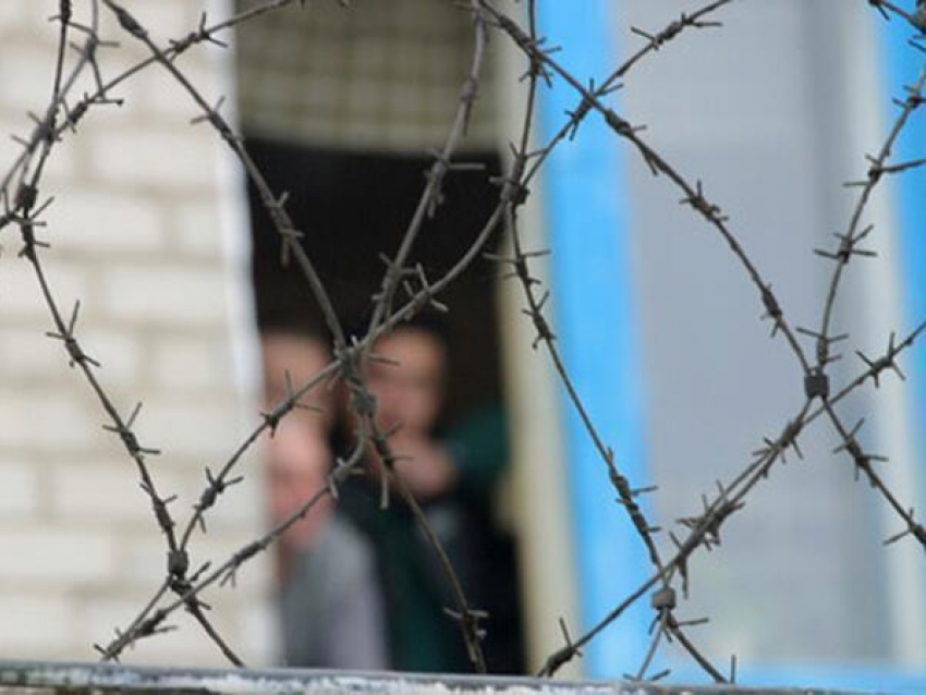В Ростовской области амнистированы 355 заключенных