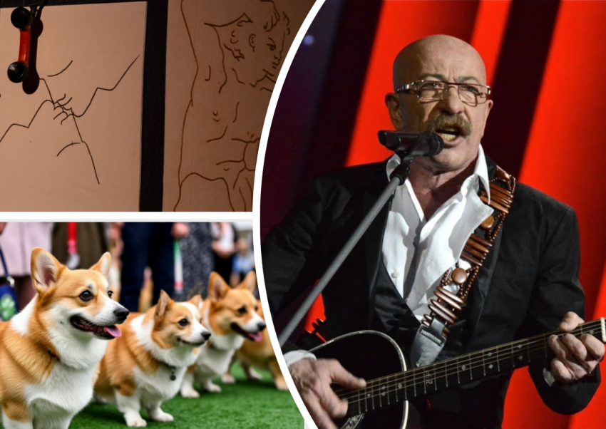 Ростовчан зовут послушать Розенбаума, посмотреть спектакль-триптих и оценить собак