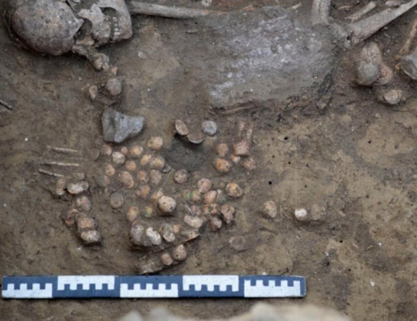 На Нижнем Дону обнаружили древнюю игру — предшественницу шахмат 