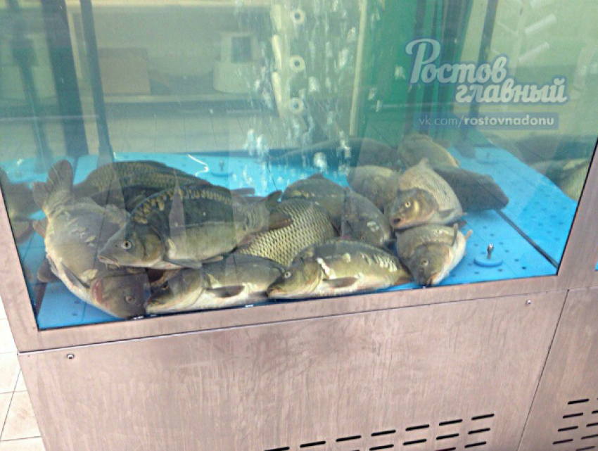 "Уснувшая в пятницу» рыба в гипермаркете отбила аппетит у ростовчан