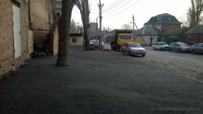 Во время ремонта дороги в Ростове рабочие «закатали» дерево в асфальт 