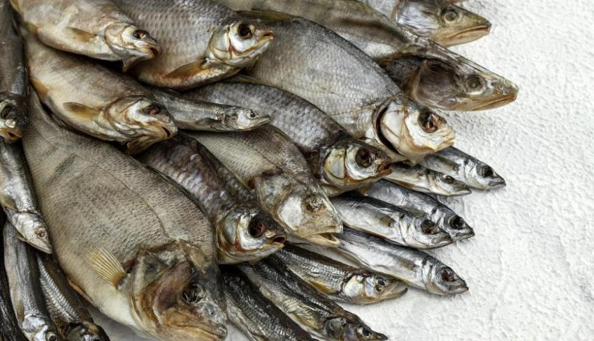 В Ростовской области обнаружили 3 тонны неизвестной вяленой рыбы