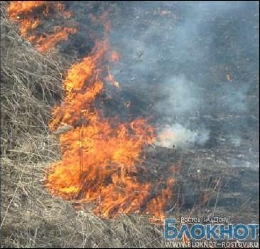 20 гектаров травы  горит в Ростовской области