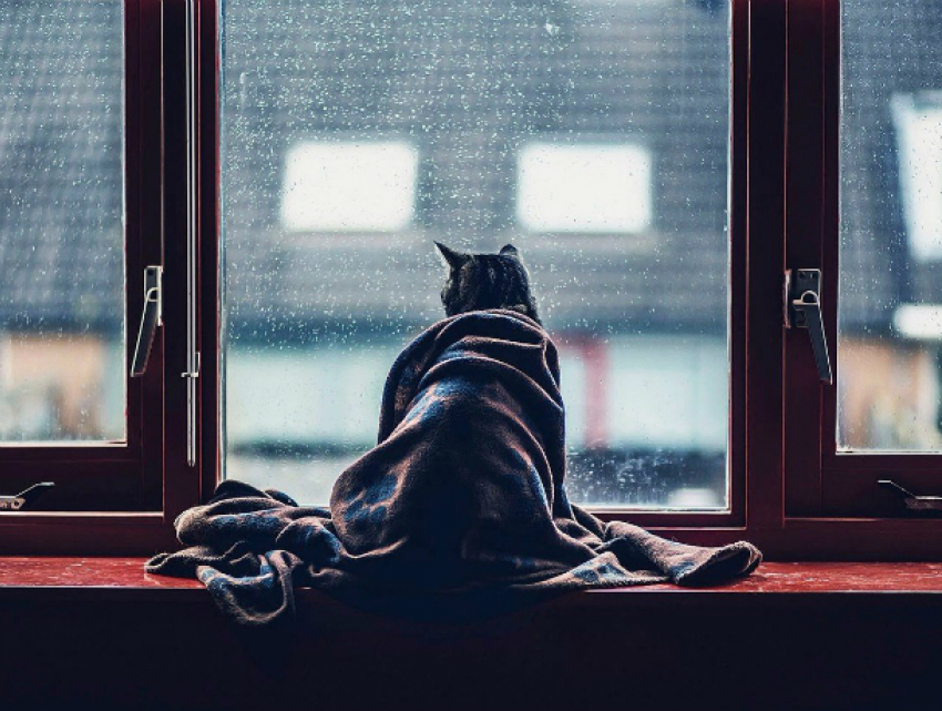 Солнце будет отчаянно пробиваться сквозь дождливые тучи, согревая своими лучами жителей Ростова