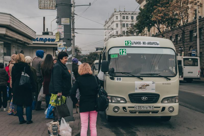 Торгующая продуктами питания компания получила три автобусных маршрута в Ростове