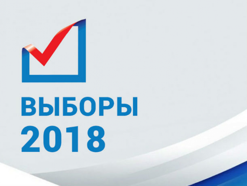 Выборы президента РФ пройдут под надзором тысяч зорких глаз в Ростове