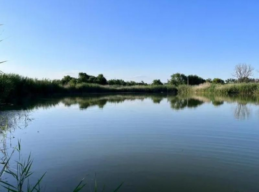 В Ростовской области продают пруд за 12 млн рублей