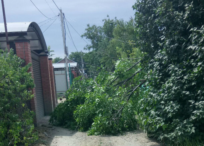 Ураганный ветер оборвал крышу и повалил деревья в Ростове 