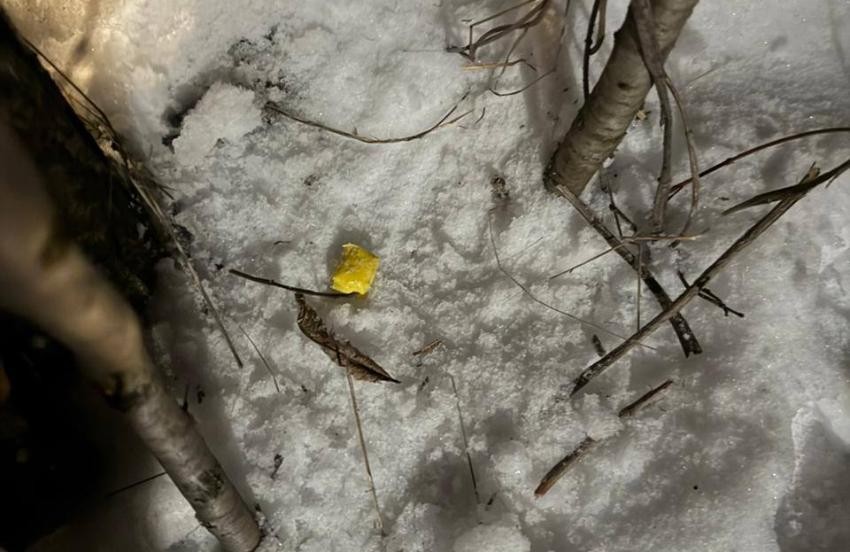 В Новочеркасске задержали троих подозреваемых в сбыте амфетамина