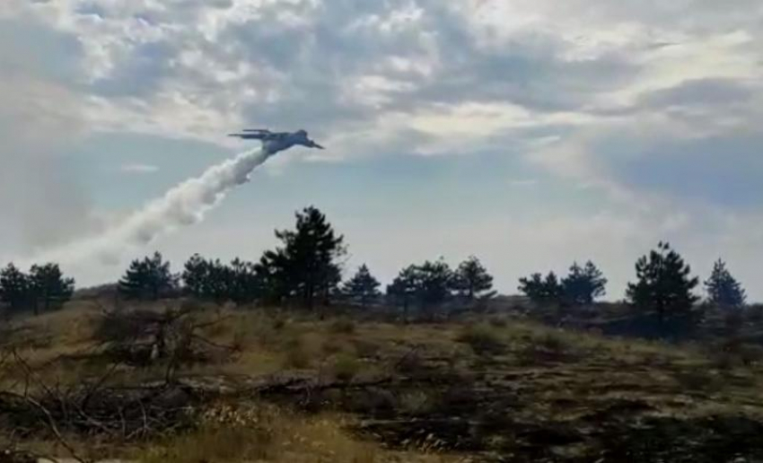Губернатор Ростовской области назвал причину лесного пожара в Усть-Донецком районе