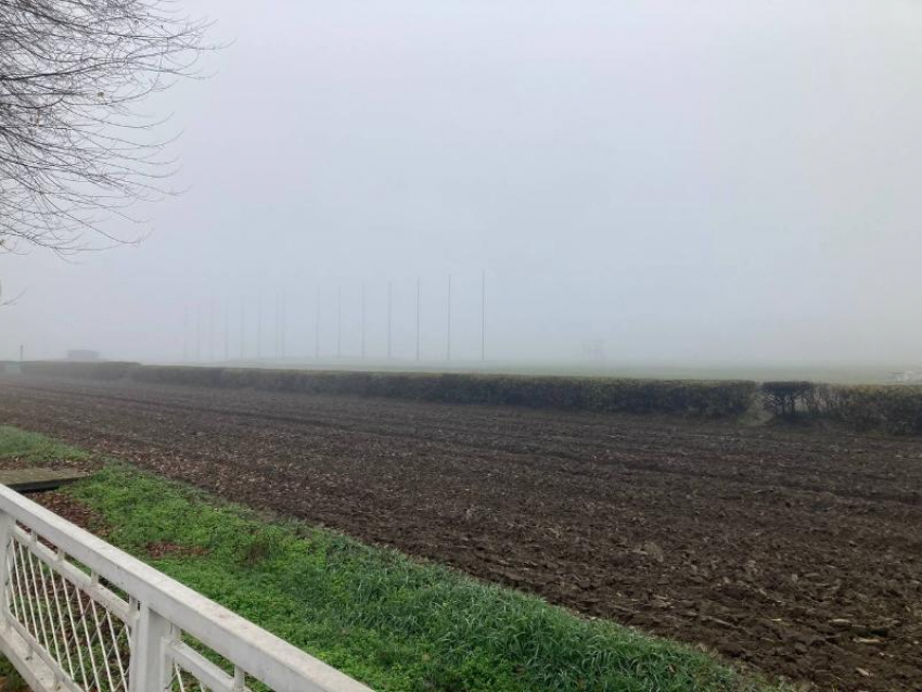 Собственник Ростовского ипподрома разрешил оставить лошадей, но ввёл строгие условия