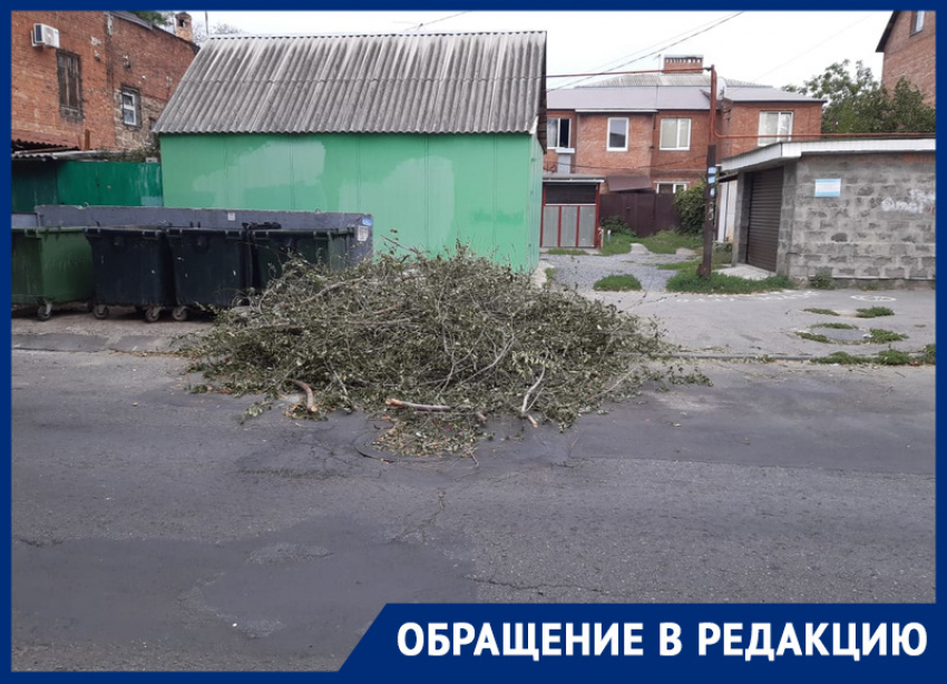 Ростовчанин пожаловался, что площадку для мусорных контейнеров не убирают