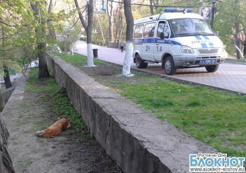 Ростовские зоозащитники обвиняют сотрудника службы отлова собак в незаконном убийстве животного  