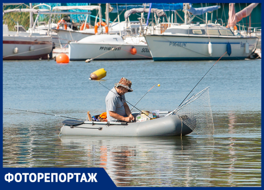 «Ни хвоста, ни чешуи!»: фотокорреспондент «Блокнот Ростов» нашел на Дону рыбные места