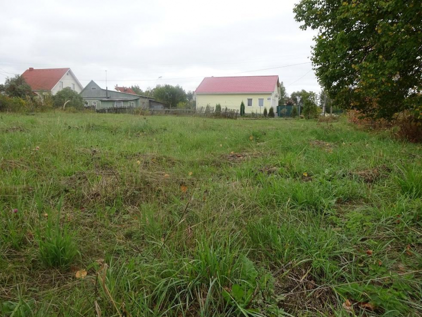 В Ростове ветераны боевых действий соберутся на пикет