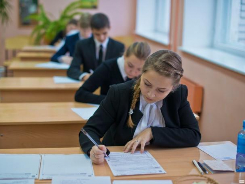 Почему в Ростове не хватило бланков ЕГЭ, выяснит Роспотребнадзор