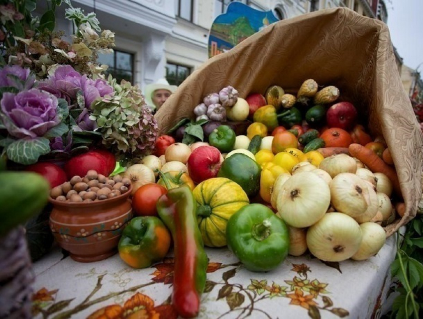 Натуральные и недорогие продукты ростовчане смогут купить на продовольственной ярмарке 