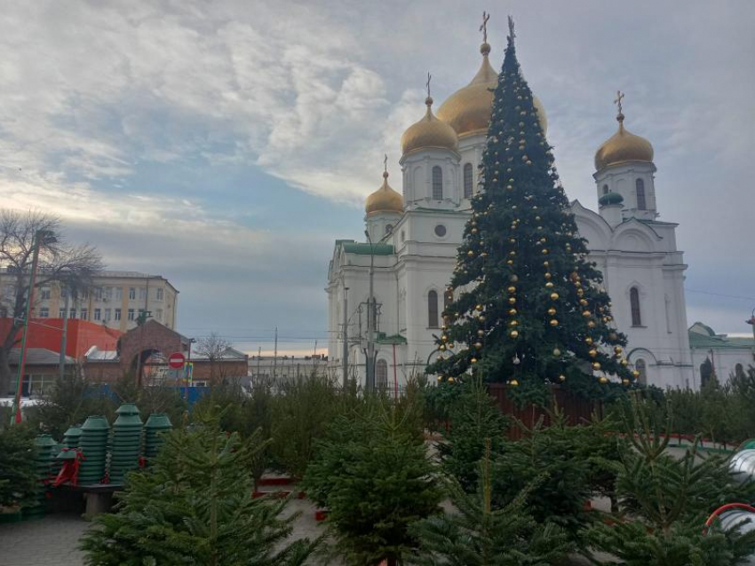 В Ростове с 1 декабря открылись елочные базары