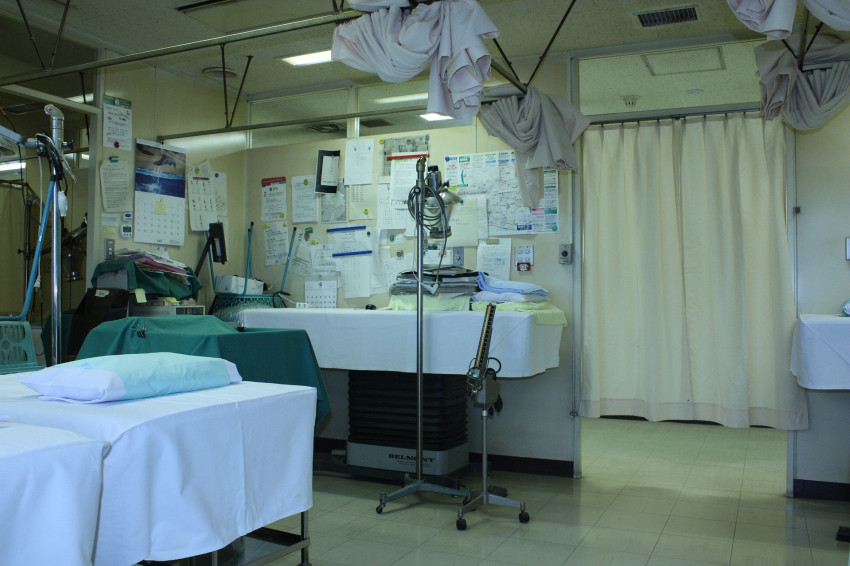 Ковидные госпитали в Ростове начнут превращать в обычные больницы