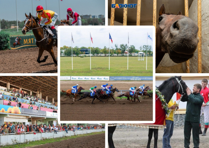 Ростовский ипподром официально закрыт навсегда ради новых ЖК