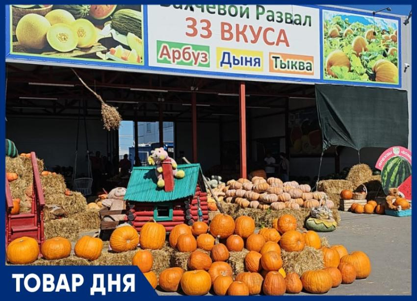 ТОВАР ДНЯ: Тыква в подарок на тыквенной ферме Андраника Срапионяна 