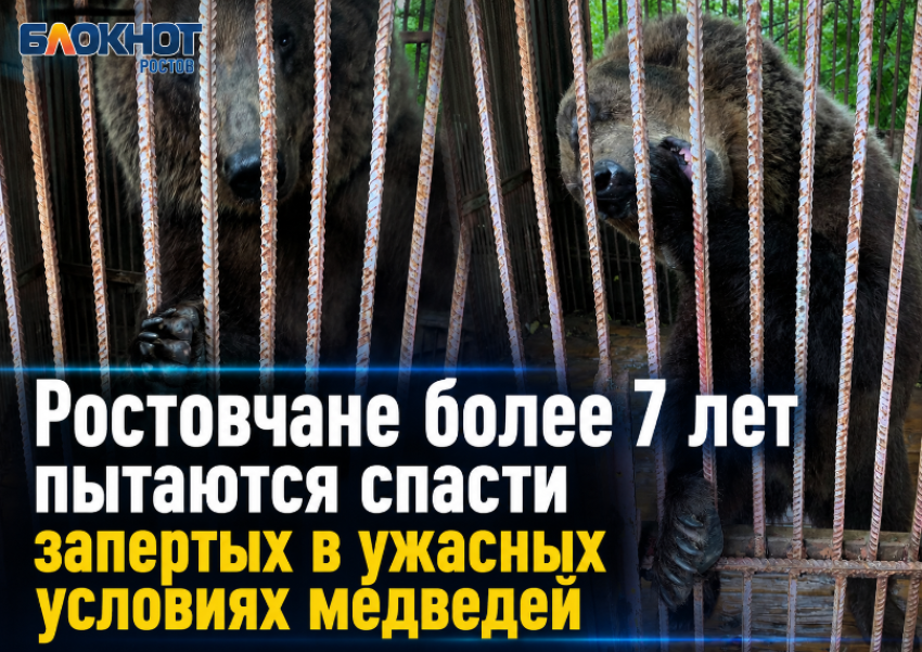 Ростовчане более 7 лет пытаются спасти запертых в ужасных условиях медведей