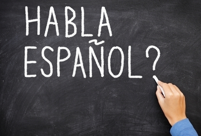 Всего один ростовский школьник будет сдавать испанский язык на ЕГЭ