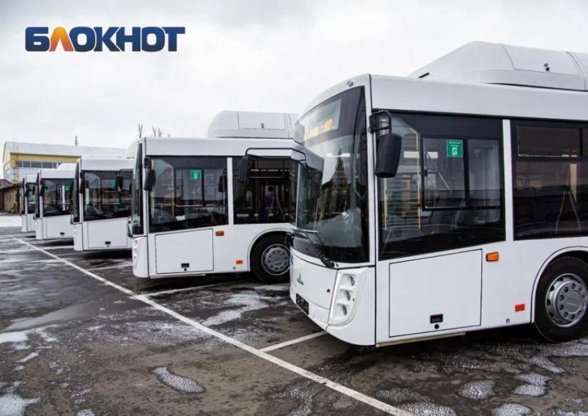 Минимум до весны продолжат работу автобусные маршруты в садовые товарищества в Ростовской области  